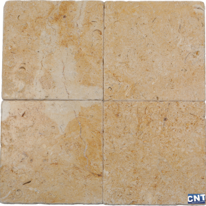 Seashell Limestone WET