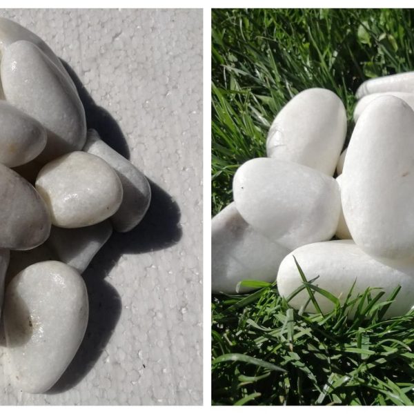 CNT 202 - WHİTE STONE